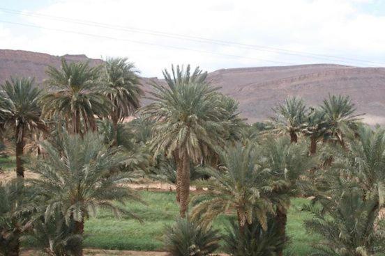 Maggaman Guest House Tafraoute Sidi Ali Exterior photo